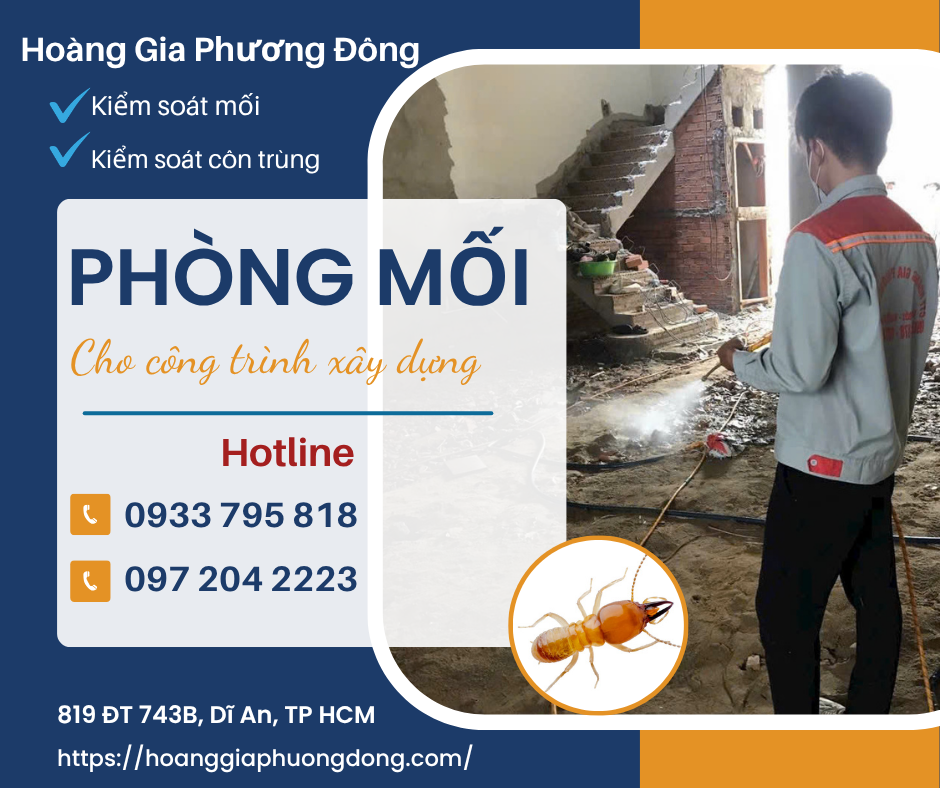 Phòng Chống Mối Trước Khi Xây Dựng – Giải Pháp Bảo Vệ Công Trình Hiệu Quả